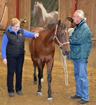 Healing Touch for Animals® von Robert Haas ausgeführt