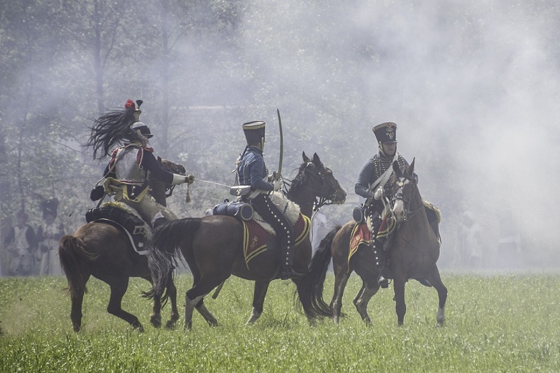 Pferde im Kriegseinsatz