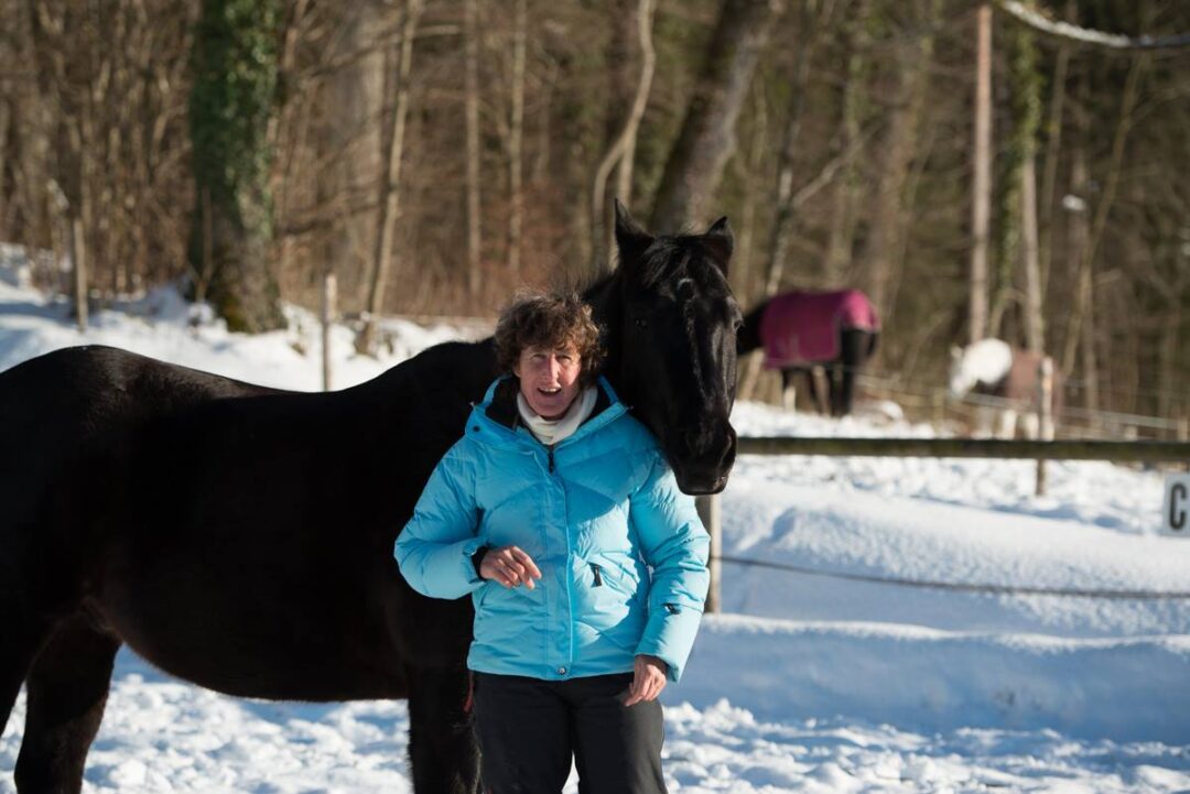 Das Pferd als Partner