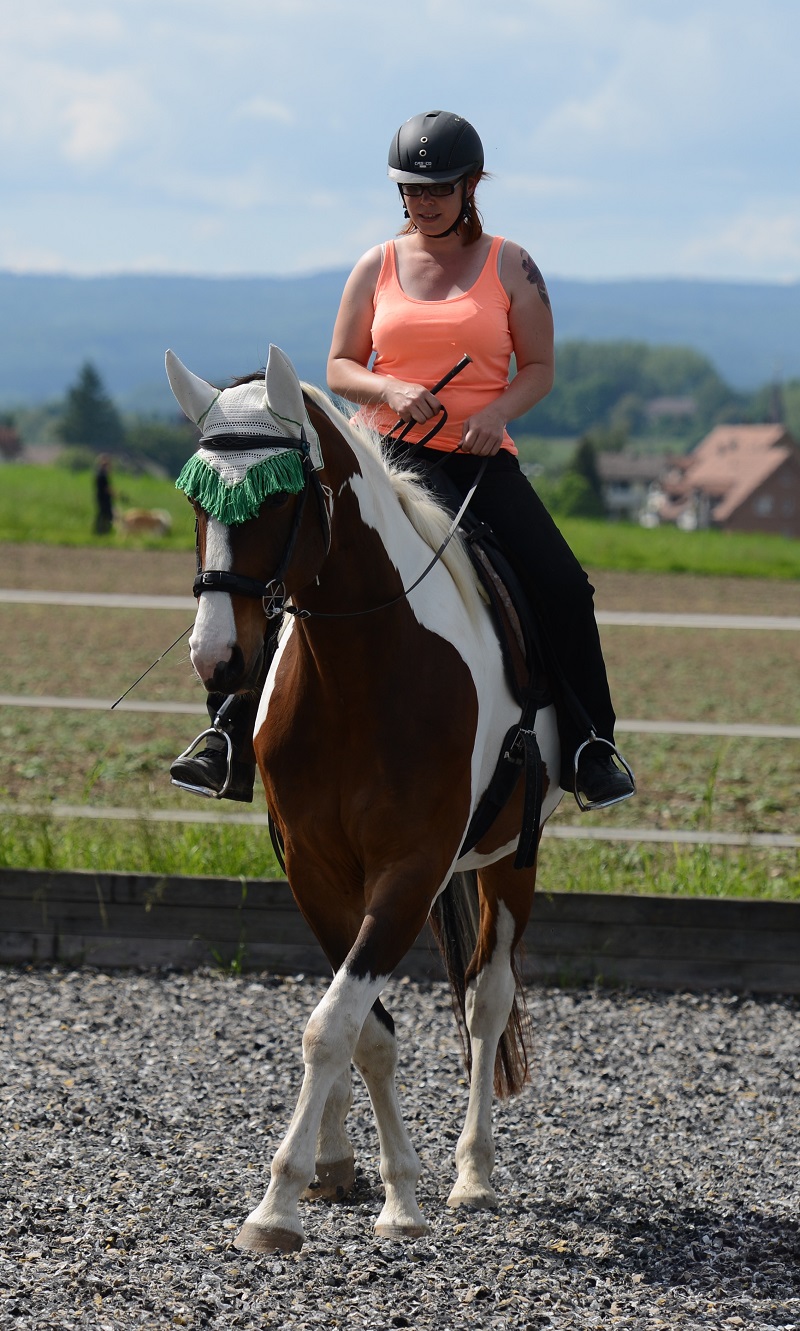 Körperbewusstsein beim Reiten