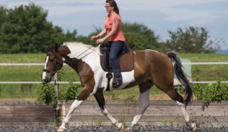 Reiten und der eigene Körper