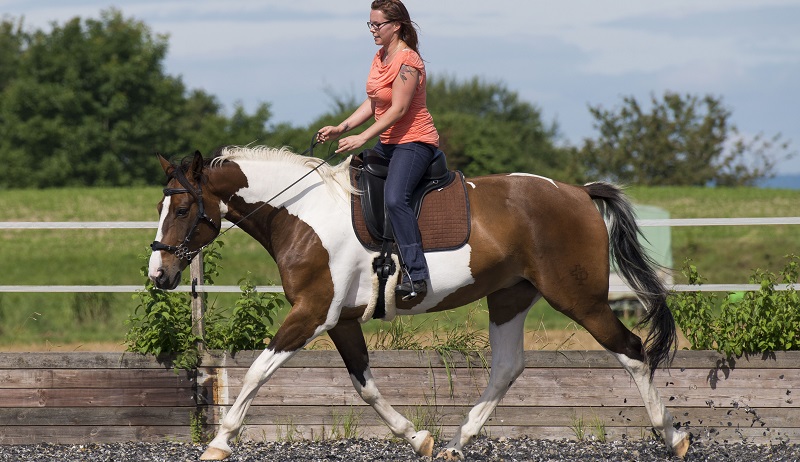 Reiten und der eigene Körper