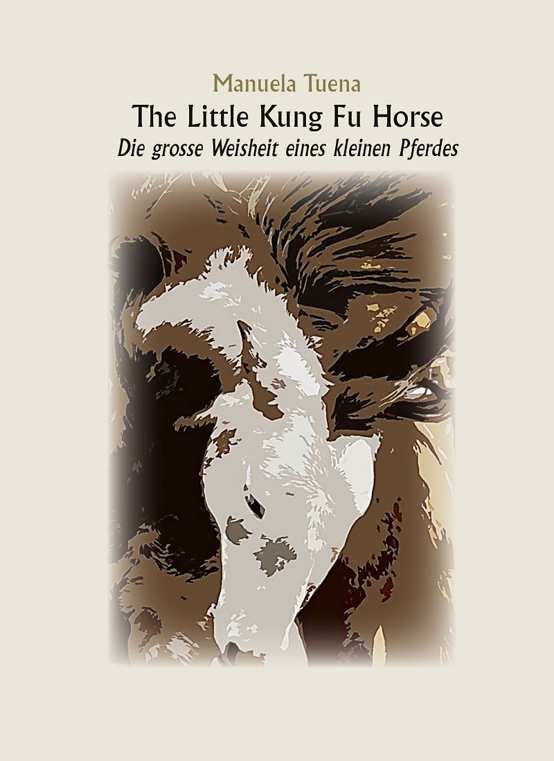 The Little Kung Fu Horse