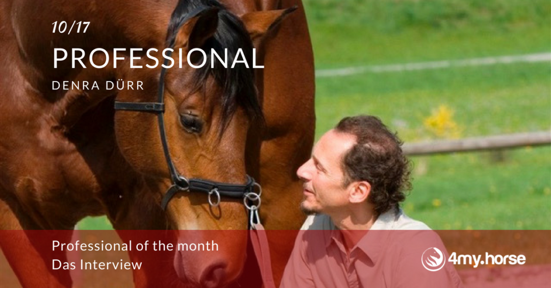 Professional of the month – Oktober 17