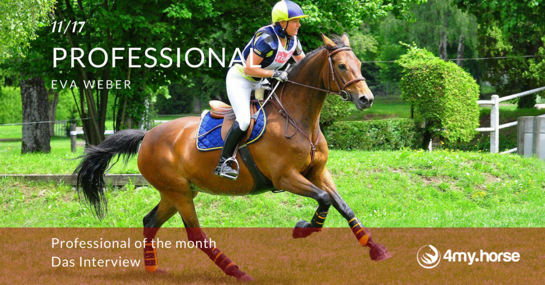 Professional of the month – November 17