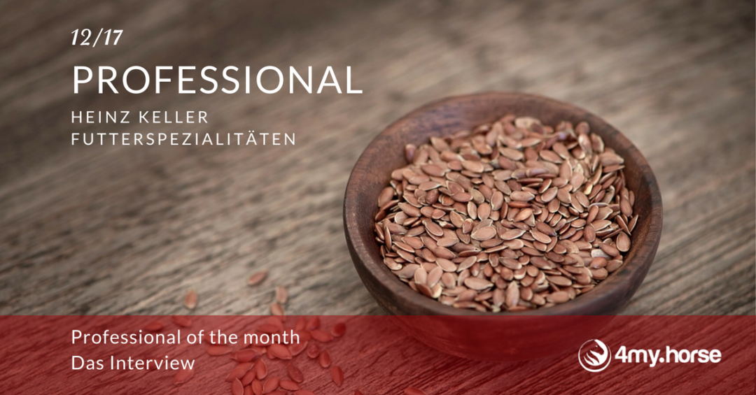 Professional of the month – Dezember 17