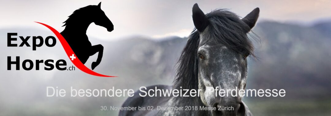 Rückblick ExpoHorse 2017