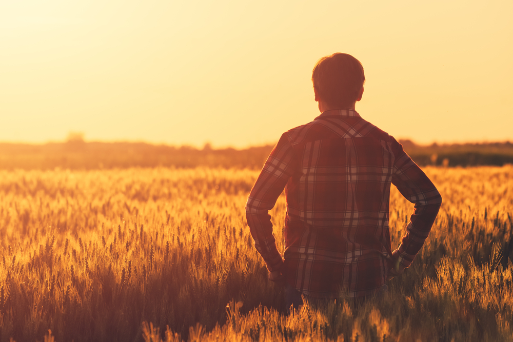 Neues Fernsehformat: Farmer sucht Frau