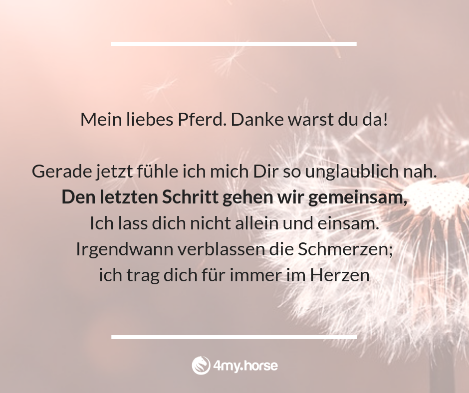 Den letzten Schritt gehen wir gemeinsam