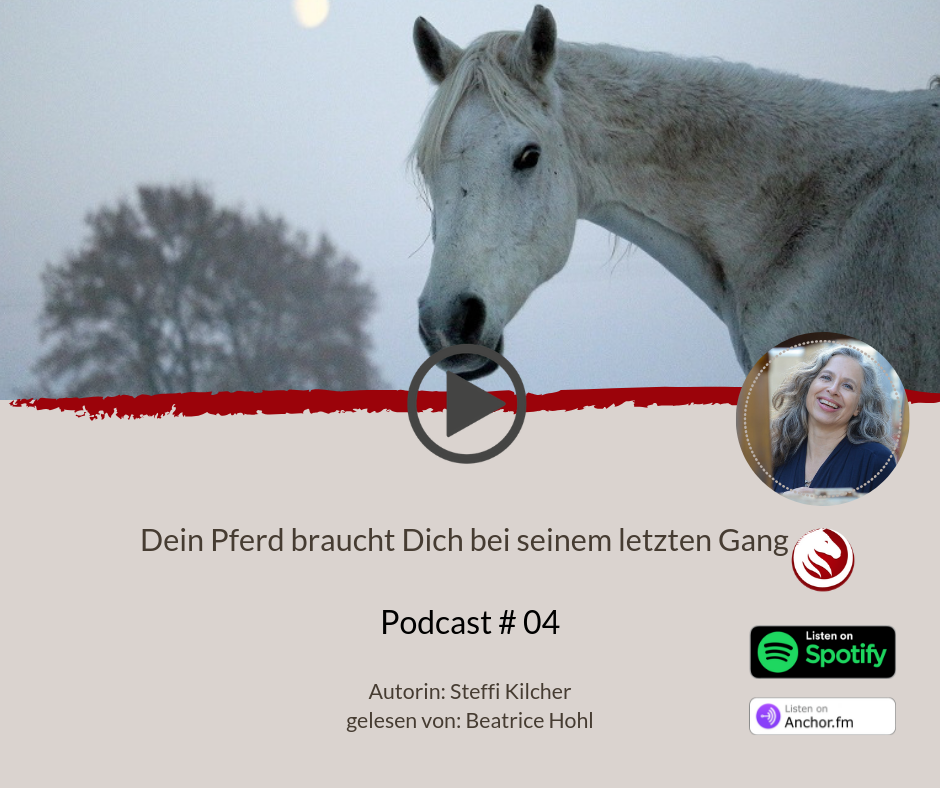 Als Podcast hören
