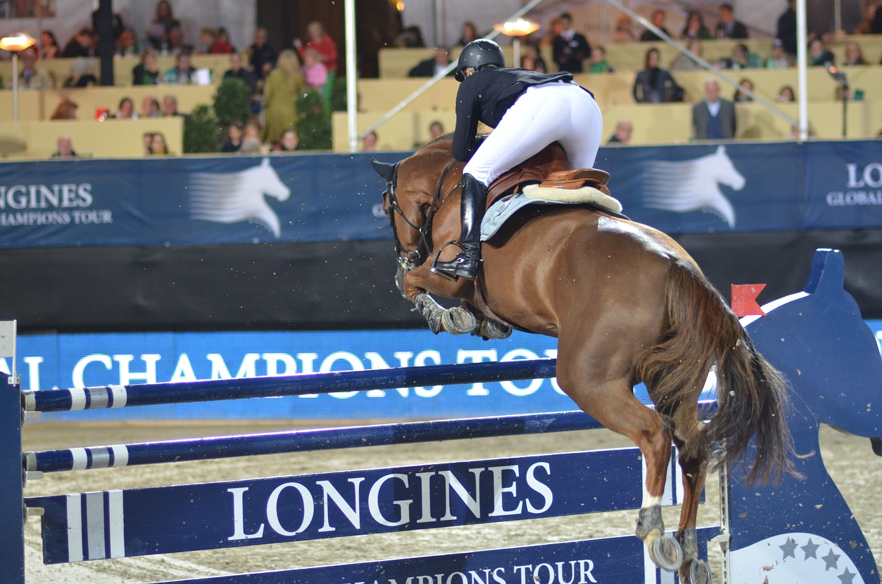 show-jumping-2510845_1280