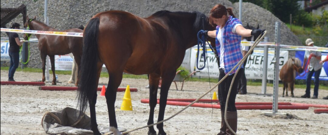 Neuerscheinung: Horse Agility Grundkurs