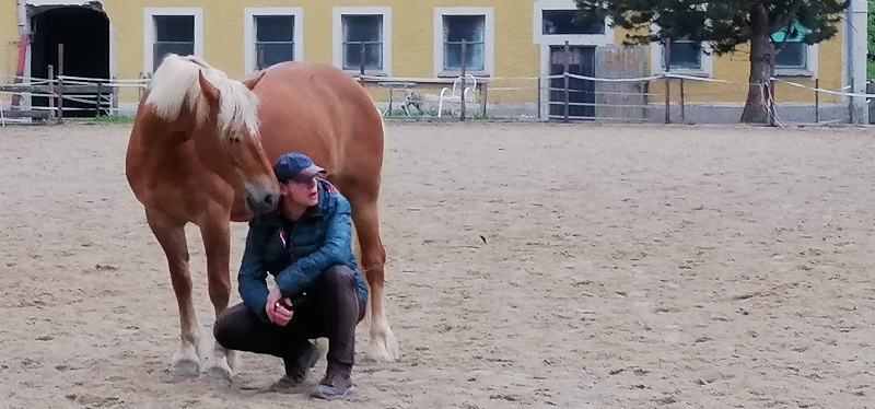 4 Dinge, die uns Pferde über Kommunikation lehren