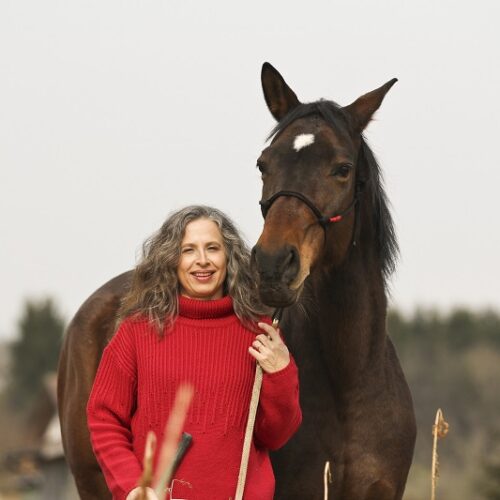 Hallo, ich bin <a href="https://passion.4my.horse/author/redaktion/" target="_self">Beatrice Hohl</a>