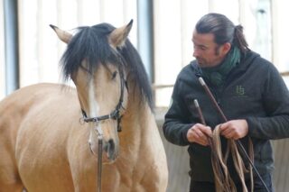 Fleiss schlägt Talent