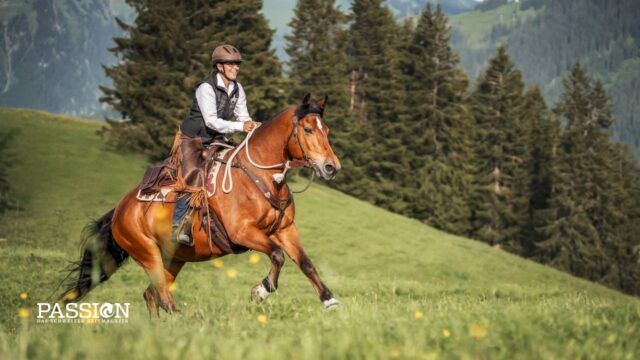 Gefahrlos Reiten und Unfälle vermeiden
