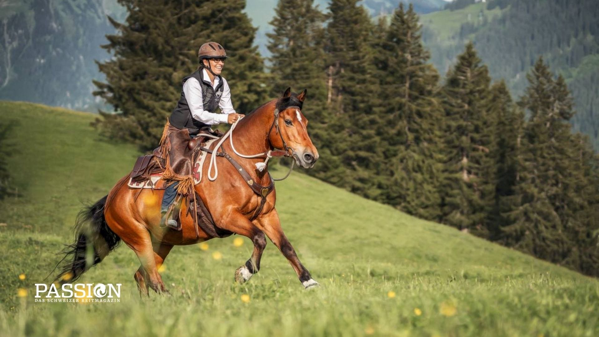Gefahrlos Reiten und Unfälle vermeiden