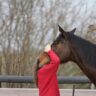 Hallo, ich bin <a href="https://passion.4my.horse/author/4my-horse/" target="_self">4my. Horse</a>