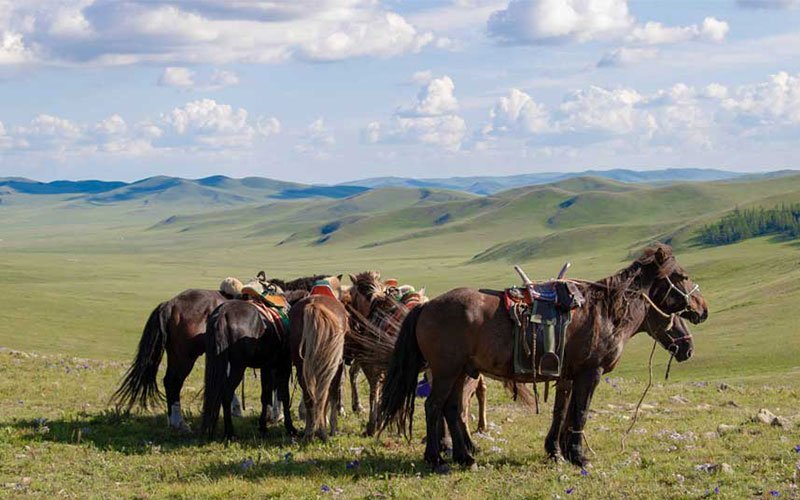 The Great Mongolian Ride