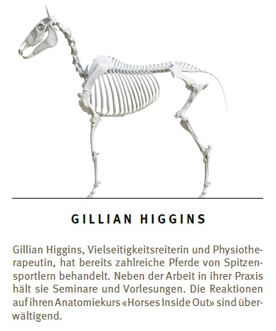Gillian Higgins