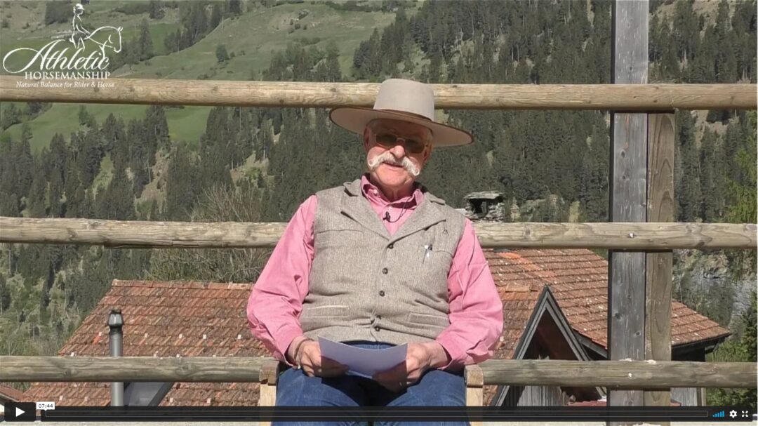 Harmonie mit dem Pferd