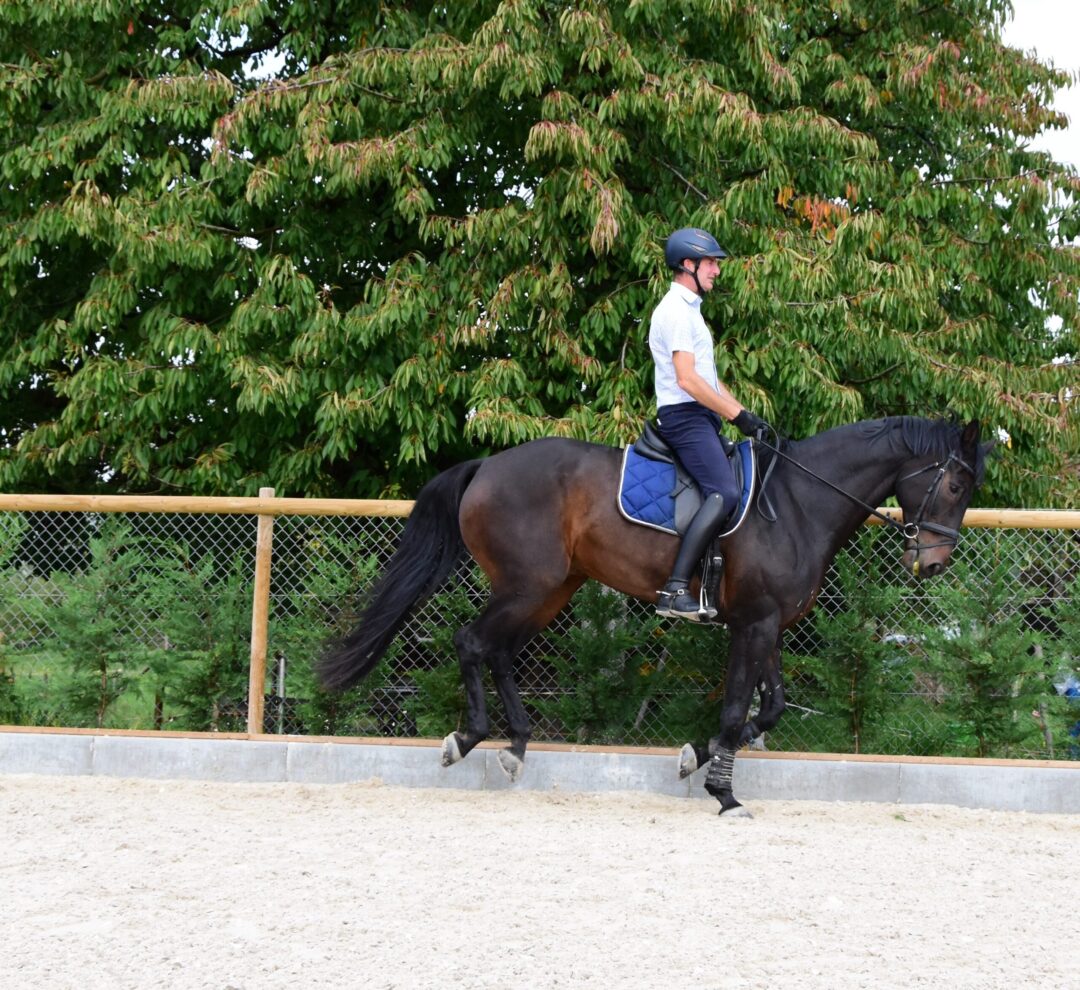 Wenn die Biomechanik von Reiter und Pferd das Training bestimmen