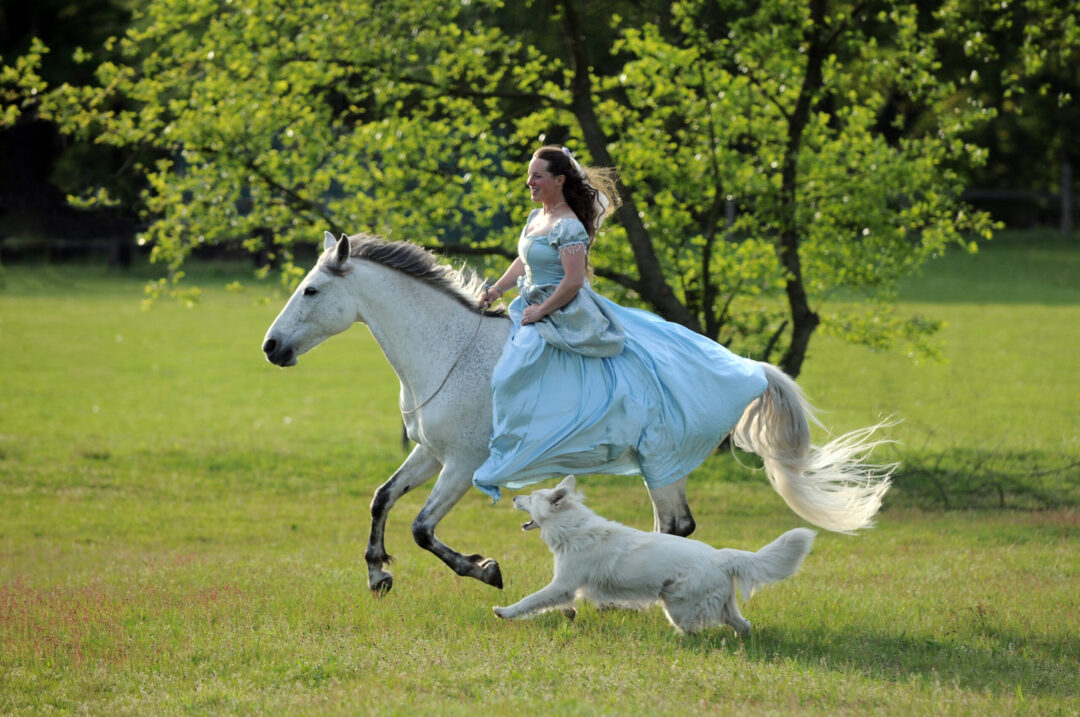 Reiten mit Halsring
