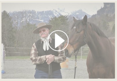 “Partnerschaft mit dem Pferd” mit Berni Zambail