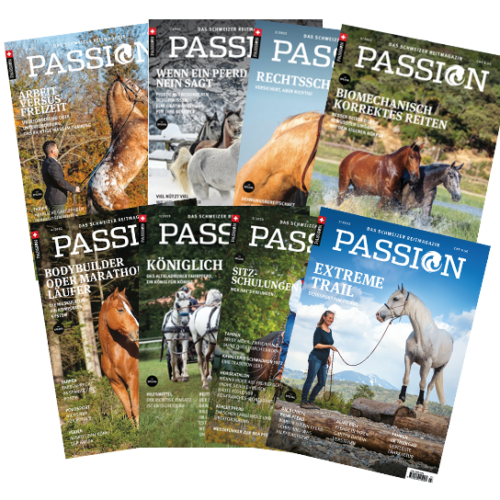 Hallo, ich bin <a href="https://passion.4my.horse/author/passion/" target="_self">Passion</a>