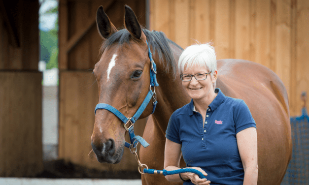 Pferdegestützter Coach – Interview mit Nadine Ohl