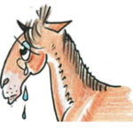 Wissensoffensive für eine „pferdegerechte Dressurausbildung”
