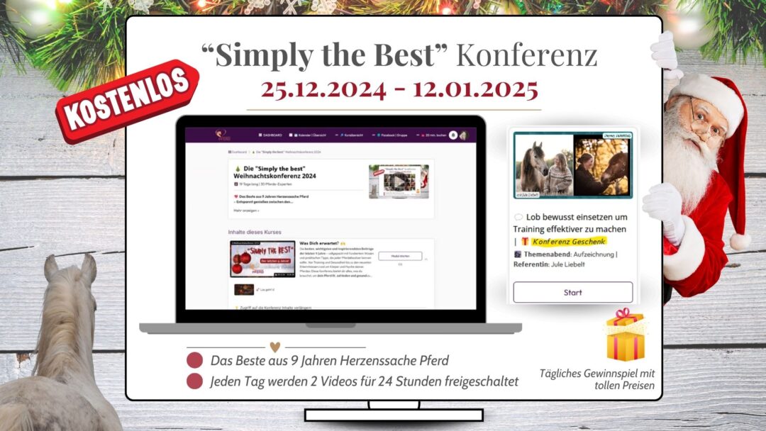 “Simply the Best”-Konferenz