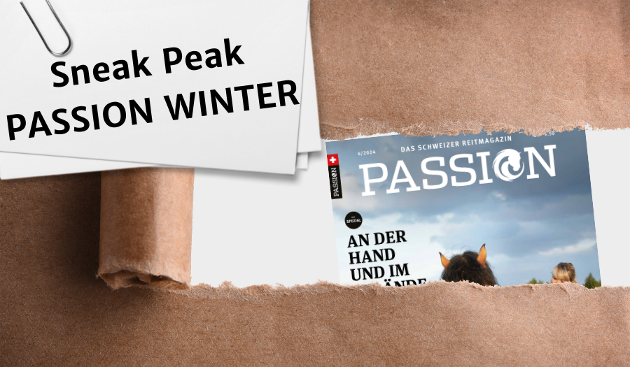 PASSION WINTER Vorschau