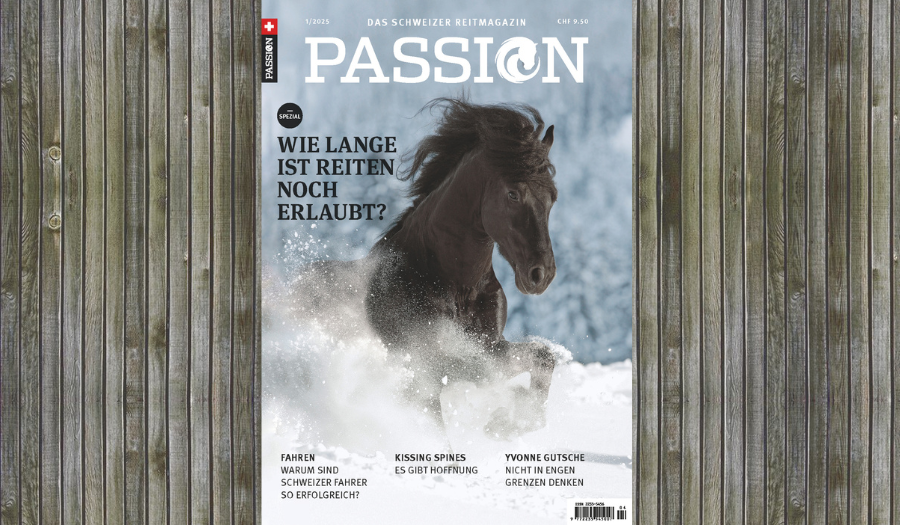 PASSION WINTER 01/25