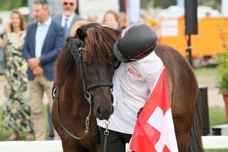 Islandpferde-Weltmeisterschaften