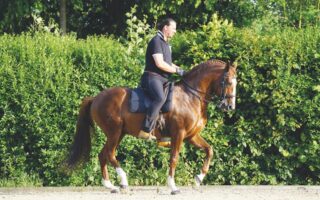 Die Magie der Parade – Vom Traum zur Wirklichkeit