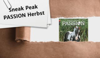 PASSION HERBST Vorschau