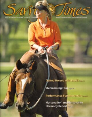 savvytimes200902-600px