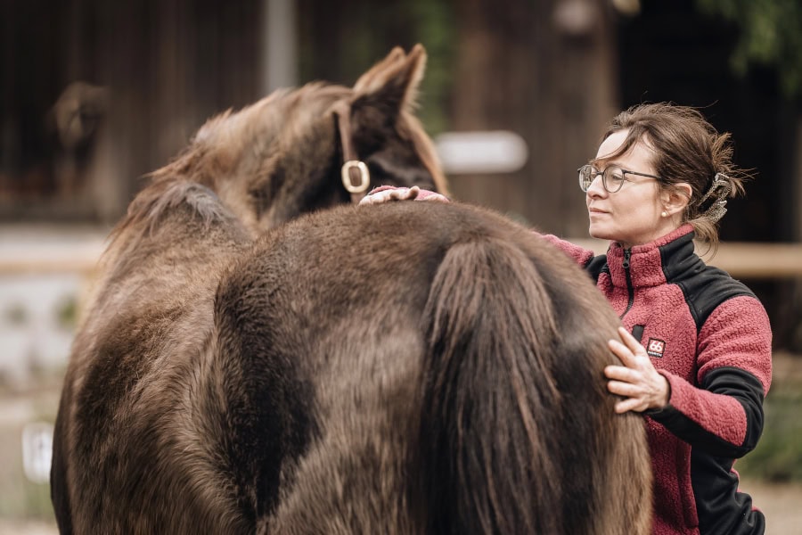 Studie zur Einseitigkeit bei Pferden