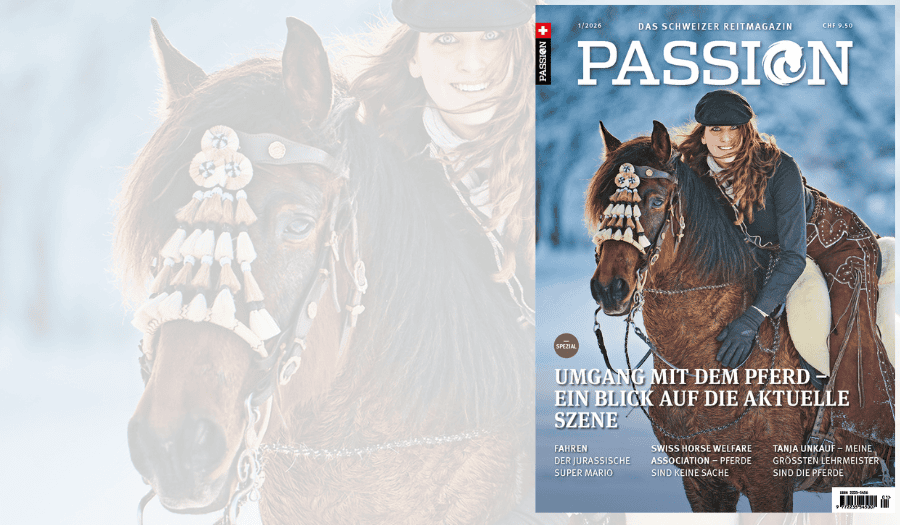 PASSION Winter 01/26