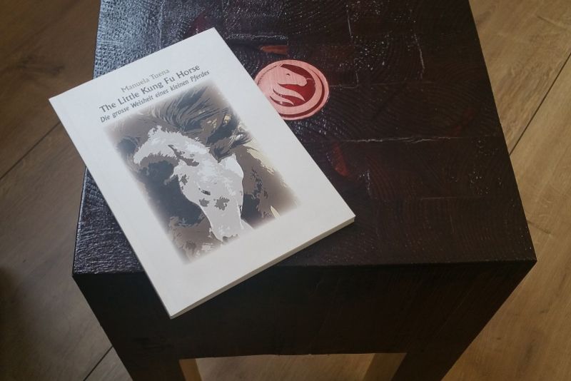 The Little Kung Fu Horse – Buchrezension