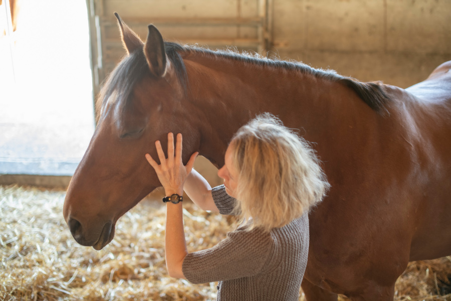 Vagus-Resilienz mit Shiatsu