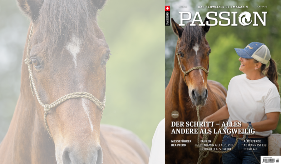 PASSION Frühling 02/26