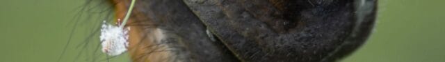 image-2026-05-15-141034