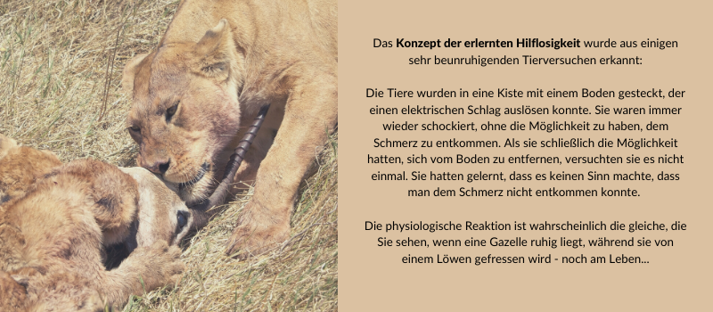 Matti_Gefahr1