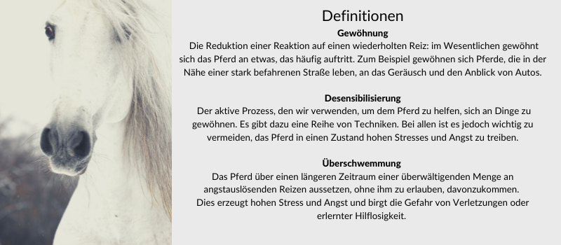 Matti_Gefahr2