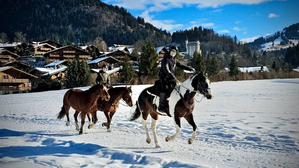 Ritt im Dreierpack