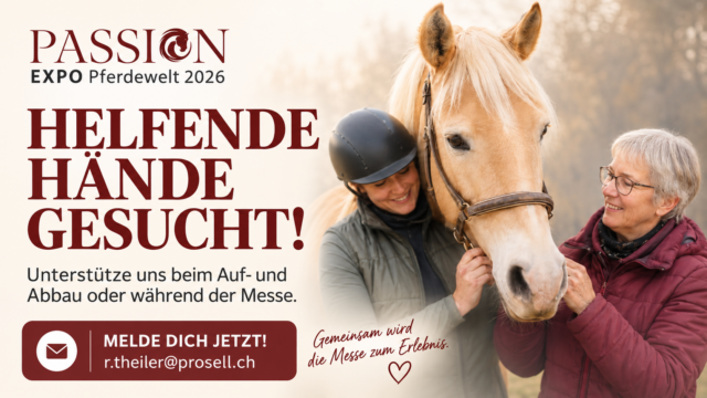 Helfer gesucht