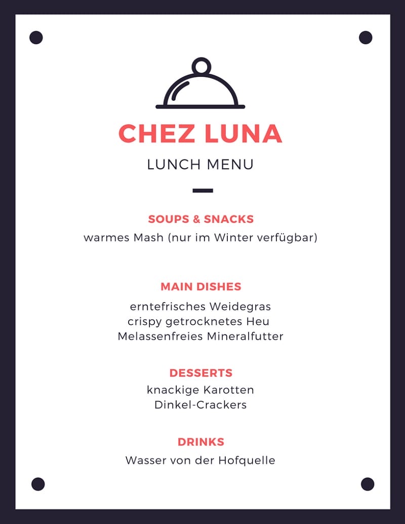 menu fürs pferd