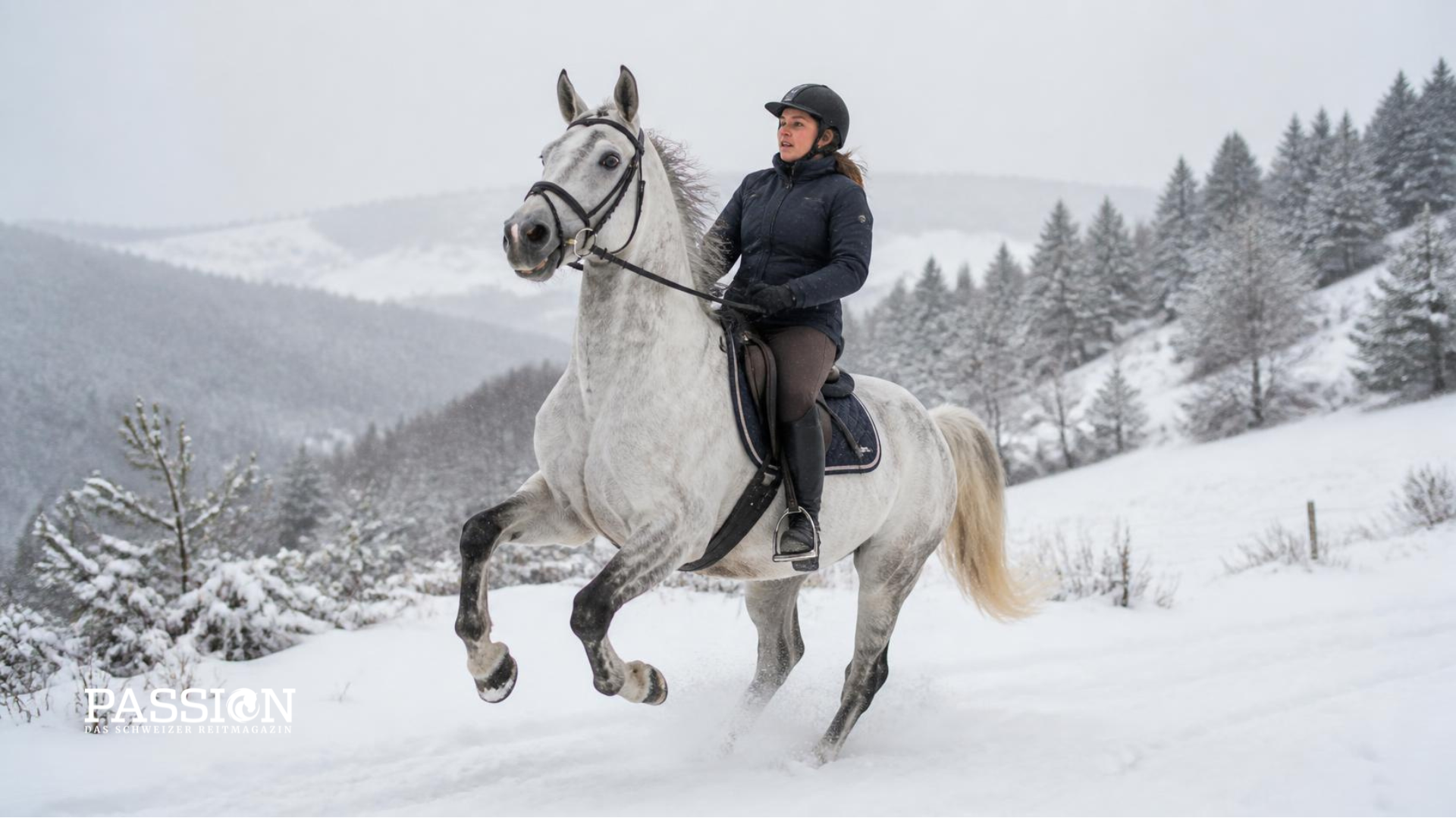 nervöses reitpferd